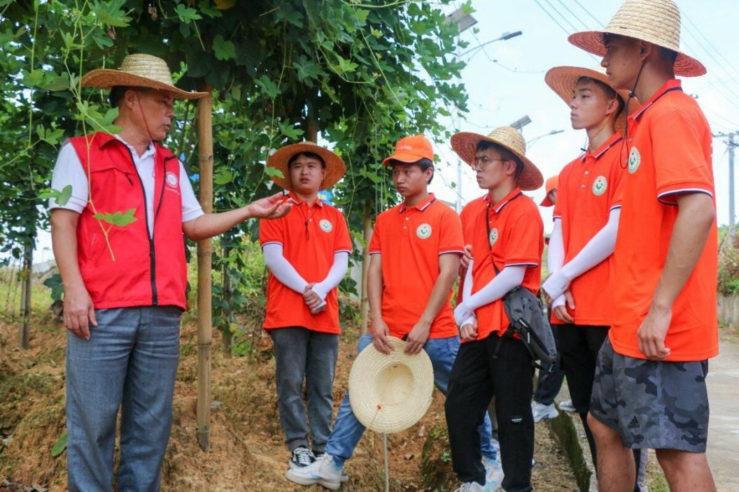 實(shí)踐團(tuán)向講解員了解粉葛種植