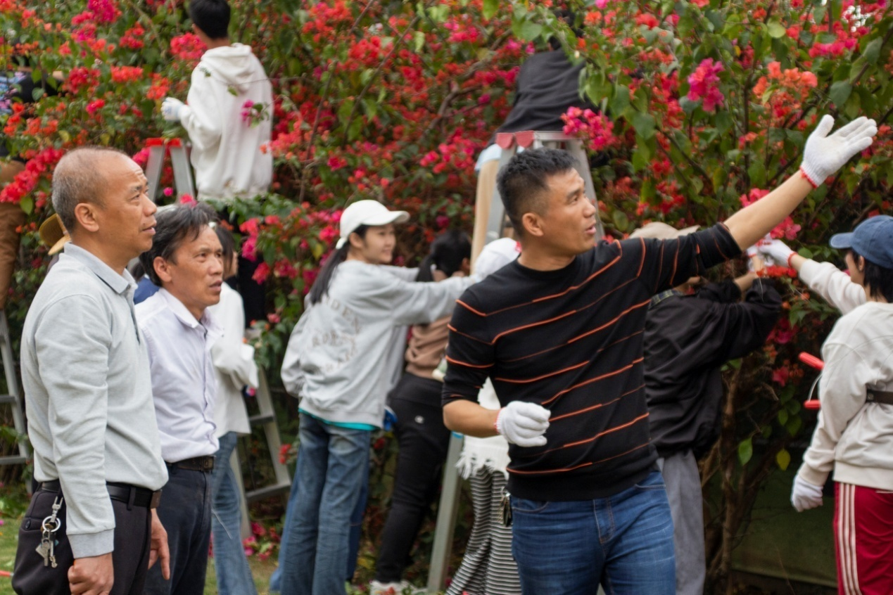 林業營會長（第一排右一）介紹四季紅三角梅習性