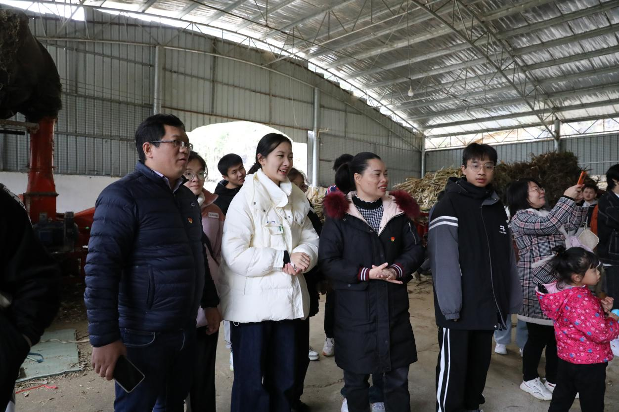 實踐團成員參觀古棠村鄉(xiāng)村振興產(chǎn)業(yè)——養(yǎng)牛場