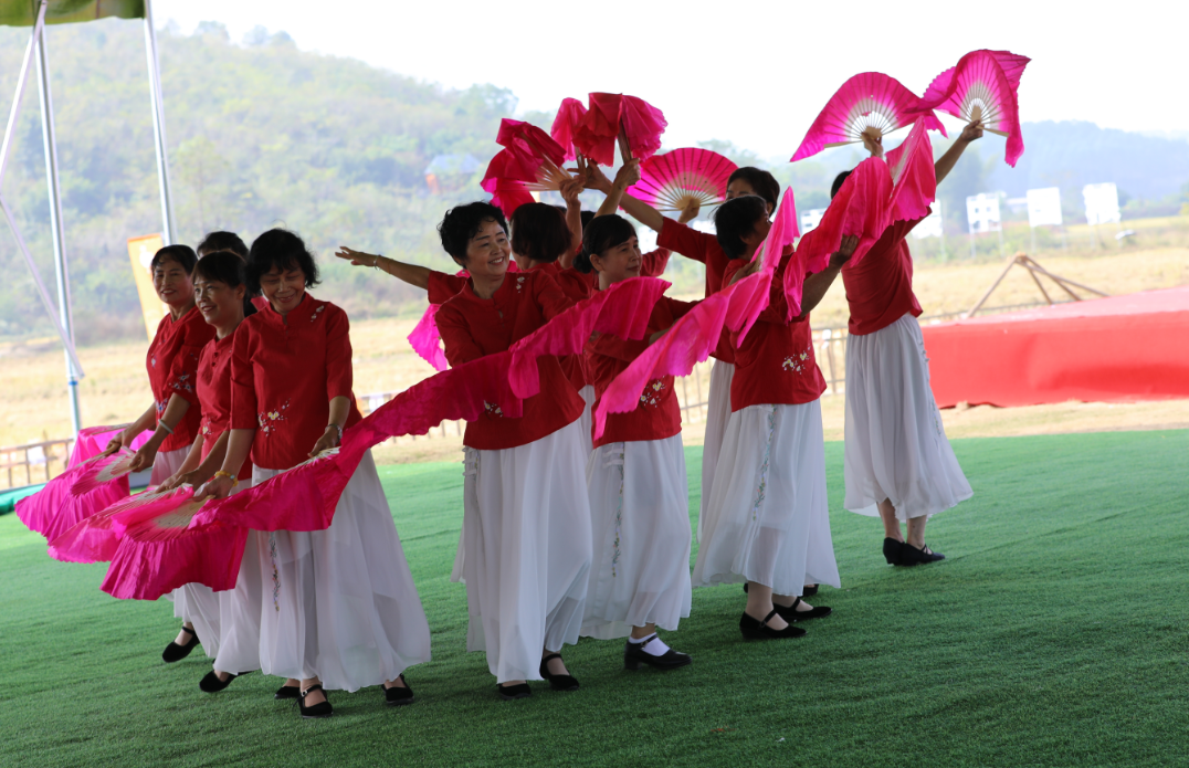 “銀齡頌黨恩 歡慶二十大”文藝表演