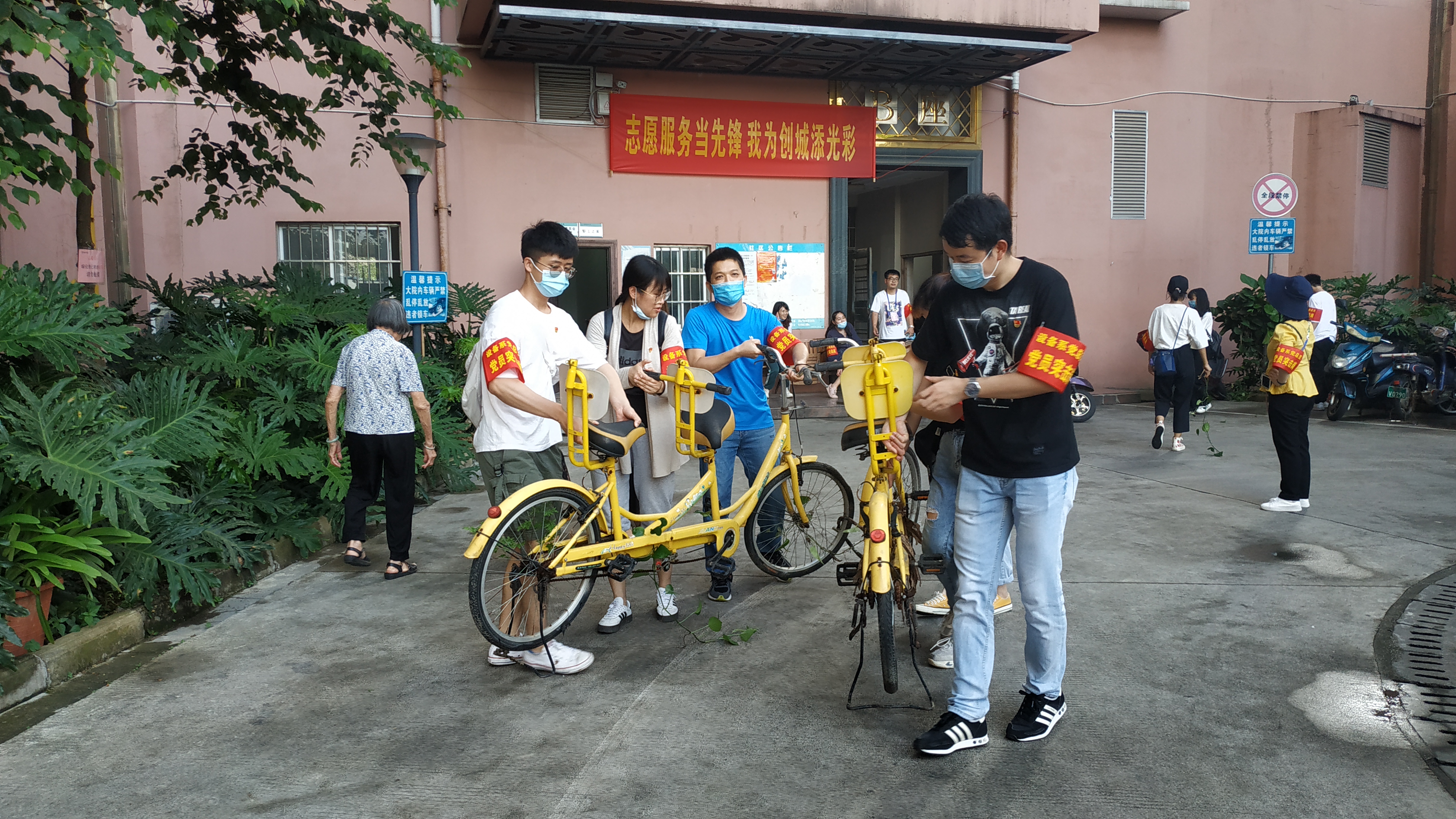 建筑設備與環境工程系黨總支黨員正在清理廢舊單車