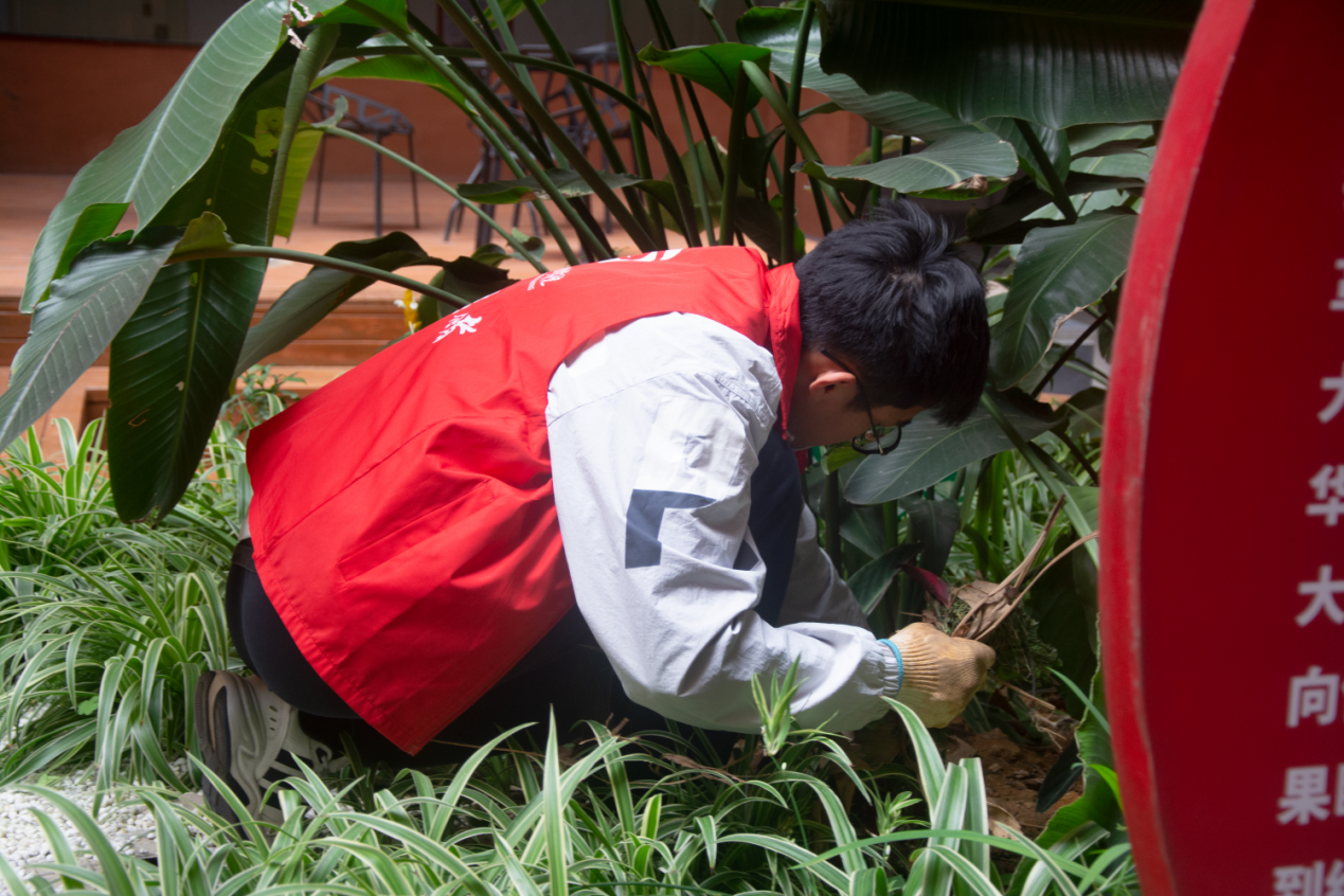 志愿者清掃16棟中庭園林景觀