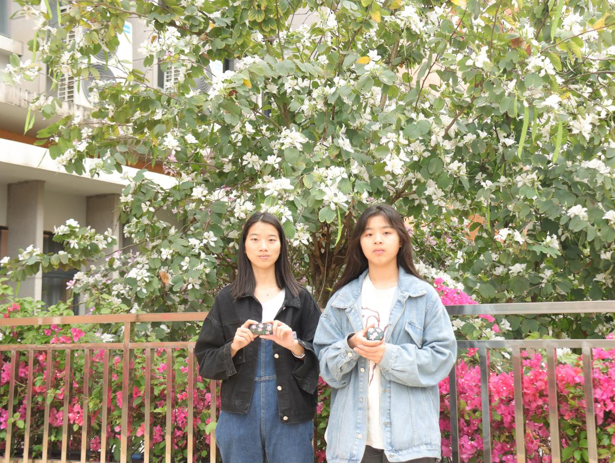 同學(xué)們和石頭彩繪作品“出處”合影